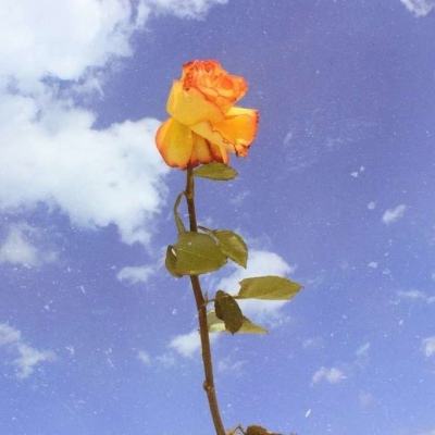 搬山道人手游下载