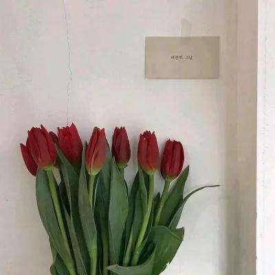 巴清传百度版安卓下载